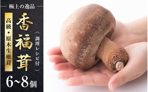 【極上逸品】まるでスーパーキノコ🍄肉厚ジューシー