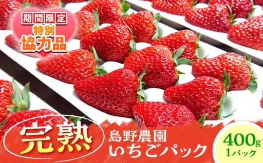 【数量限定40セット】島野農園のいちご（400g×1パック） 紅ほっぺ ほしうらら スターナイト 