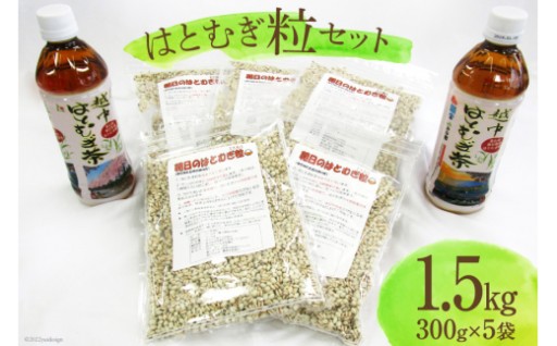 朝日町産 はとむぎ 粒