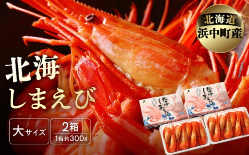 🦐💎海のルビー・北海しまえび💎🦐