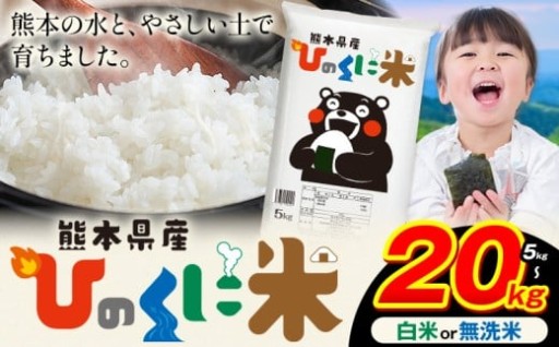 【冬は、無洗米が嬉しい】熊本県産ひのくに米