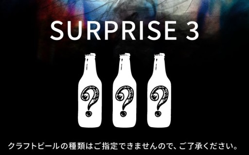 クラフトビール おまかせ3本セット SURPRISE 3