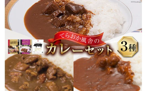 てらおか風舎のカレーセット