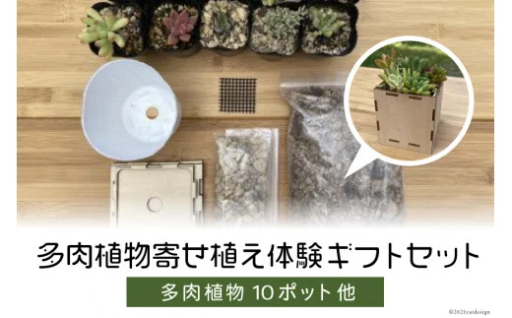 多肉植物寄せ植え体験ギフトセット