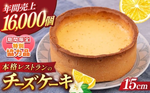 チーズケーキ 5号（15cm) 4〜6人分【日本水産観光株式会社】 [AKBR001]