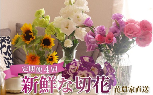 【定期便】花農家直送🌼摘みたての鮮度でお届け✨