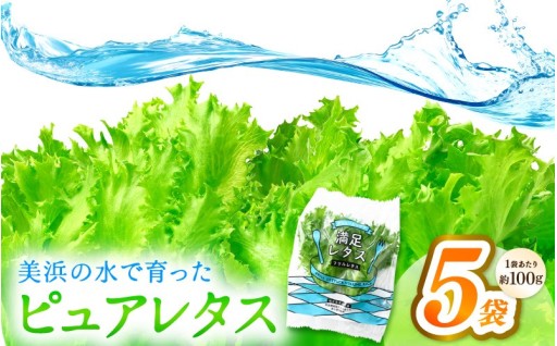 【農薬不使用】洗わず食べられる✨シャキッと長持ち