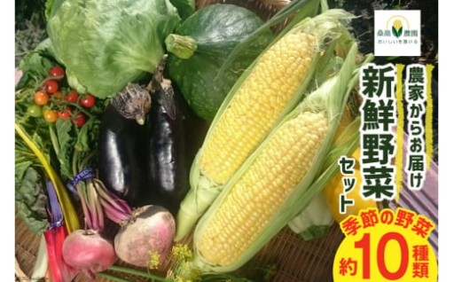 プロの料理人が指名する旬の厳選野菜