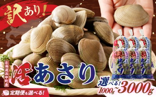 🚨【漁師直送・活あさりを緊急発送】🚨