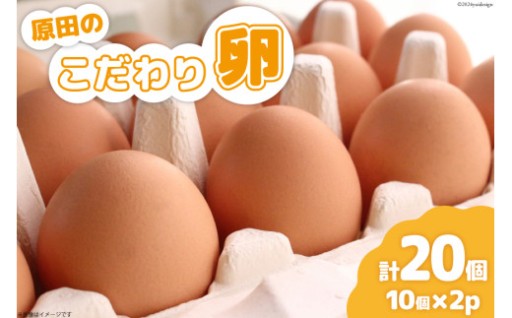 たかが卵、されど卵