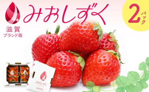  今だけ出会える芳醇な香りと食感 いちご 『みおしずく』1箱（2パック入り）