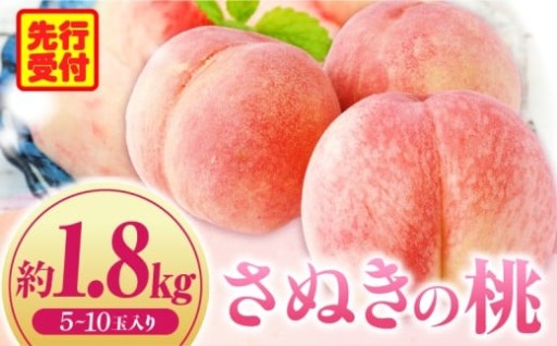 🍑【香川県三木町】さぬきの桃　約1.8kg(5～10玉入り)（さぬき市共通返礼品） 🍑