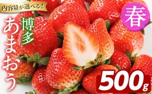 博多 あまおう《春》 (計500g)