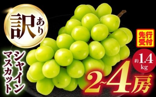 【香川県三木町】【訳あり】シャインマスカット