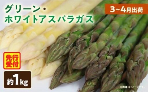 【香川県三木町】グリーン・ホワイトアスパラガス約1kg（3～4月出荷）✨
