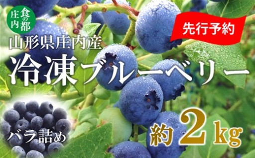 庄内産冷凍ブルーベリー（バラ詰め約2kg）