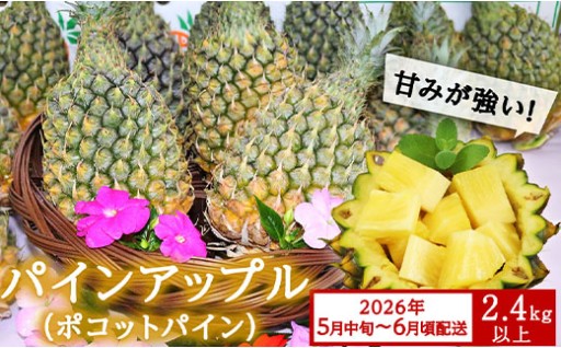 今帰仁産パインアップルポコットパイン2.4㎏以上