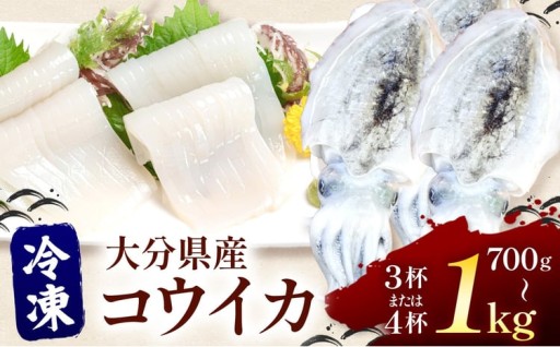 冷凍 コウイカ 700g~1kg (3～4杯)