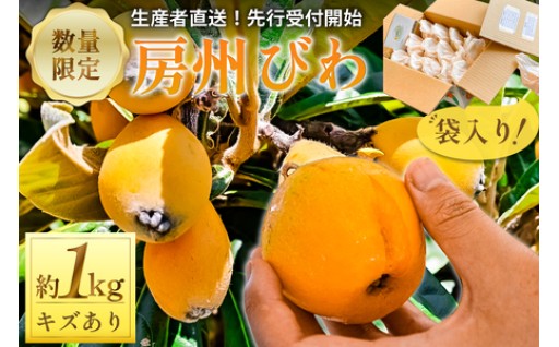 【先行受付 ・訳あり】生産者直送 房州びわ袋入り