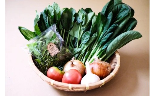 2026年6月発送開始 野菜5種5品5ヶ月定期便