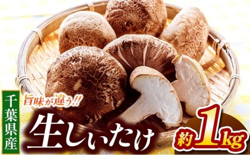 生シイタケ 約1kg