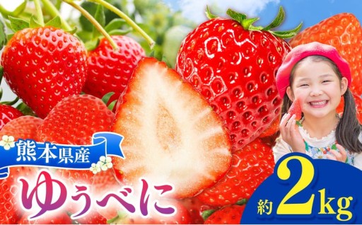 坂本いちご農園 ゆうべに 2㎏