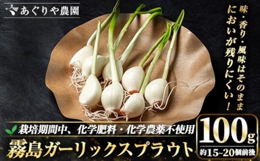 霧島ガーリックスプラウト 100g (約15～20個前後入り) 【あぐりや農園】 