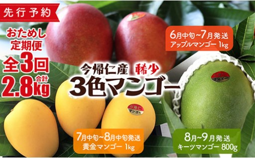 稀少3色マンゴー食べ比べセット（赤・黄・緑）