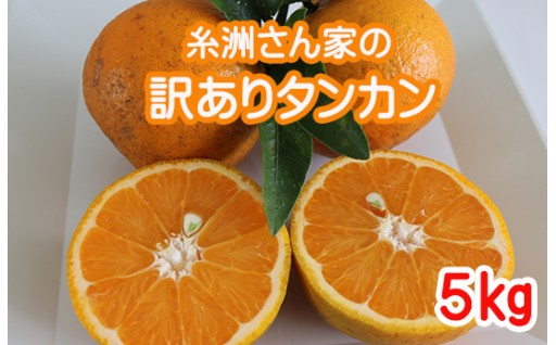 【限定10箱】糸洲さん家の訳ありタンカン5㎏