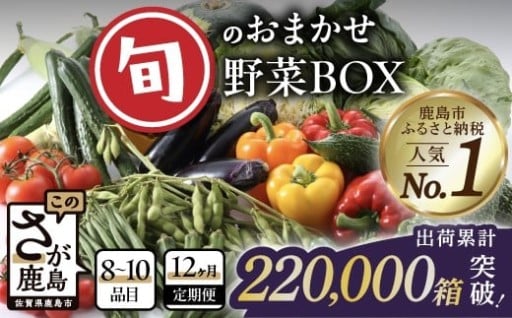 野菜定期便 12回 旬のおまかせ野菜BOX