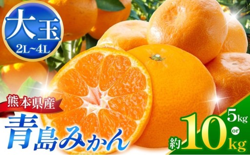 こだわり栽培 青島みかん (2L～4L) 約 5kg /10kg iFARM 岩城農園