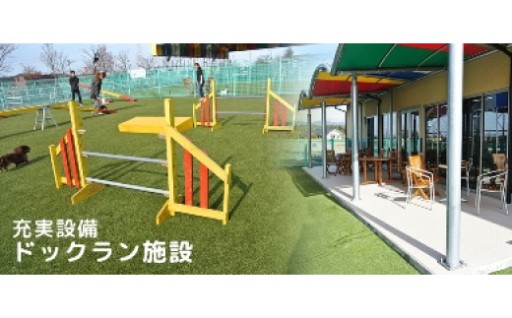 道の駅おおとう桜街道ドッグラン施設利用券（500円券×10枚つづり）