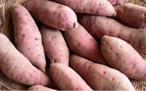 小豆島のサツマイモ〈 紅はるか 〉