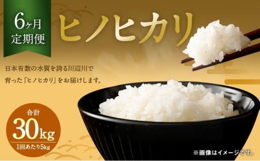 【6ヶ月定期便】相良村産 ヒノヒカリ 5kg