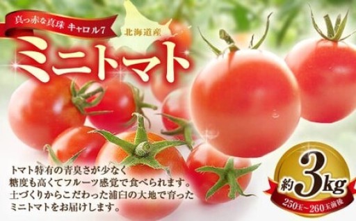 【先行予約】ミニトマト 約3kg