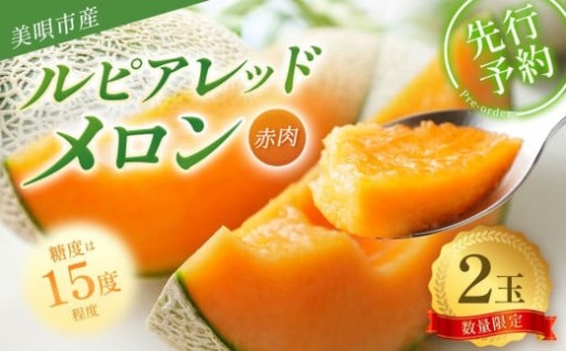 【2026年発送】【先行予約】【数量限定】美唄市産ルピアレッドメロン２玉（赤肉）