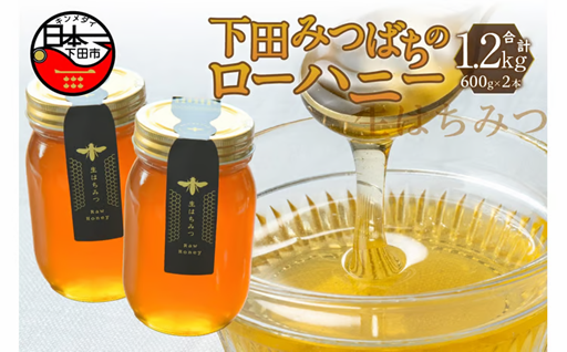 ＜下田みつばち＞ローハニー600g×2本セット