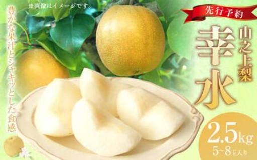 《先行予約》｢丸坂山田農園｣ 山之上梨 幸水 1箱 （ 約2.5kg ／ 5～8玉 ）