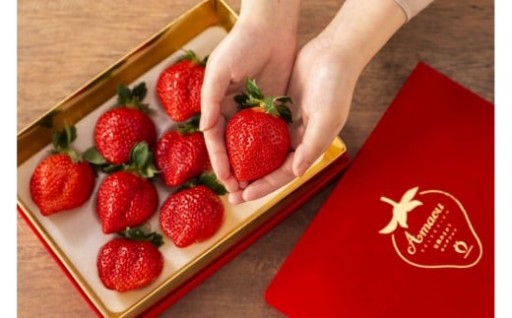 最高級完熟あまおうギフト[5Lサイズ450g] 