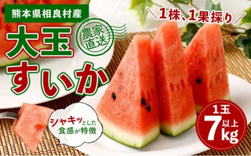 相良村産 大玉スイカ（羅皇ザ・スウィート） 1玉（7kg以上） 【2026年5月下旬～6月上旬発送予定】