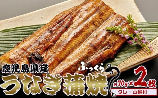 鹿児島県産　うなぎ蒲焼　約70g×2枚【タレ・山椒付】