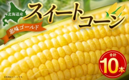 【2026年発送】【先行予約】【数量限定】北海道産スイートコーン　１０本入
