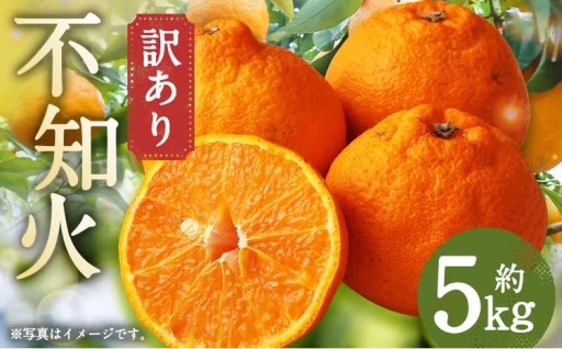 訳あり ご家庭用 長崎県時津町産 不知火 約5kg【2026年3月下旬発送開始】 