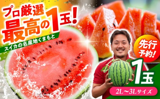 【先行予約】 大玉スイカ！ 2L～3Lサイズ（約7kg～9kg） 厳選1玉！  【城野農園】