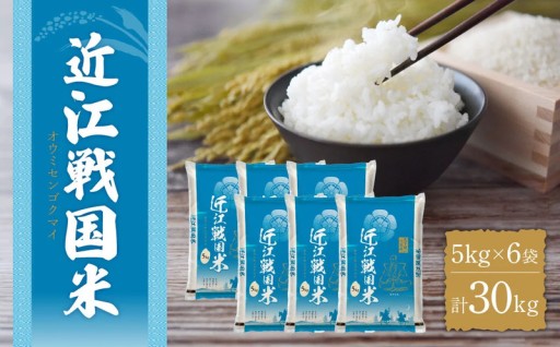 毎日美味しい！30kgの大容量で家計も応援 滋賀県産 近江戦国米 5kg×6袋