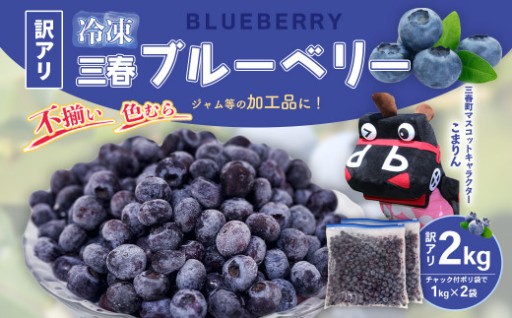 【訳アリ】三春冷凍ブルーベリー 1kg×2袋