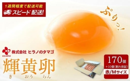 ヒラノのたまご【輝黄卵(きおうらん)】赤Mサイズ　170個+10個（割れ保証）