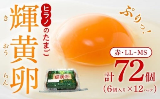 ヒラノのたまご 輝黄卵（きおうらん）72個（6個入り×12パック）