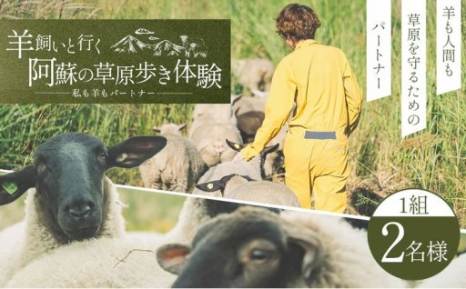 【体験期間 6月1日ー9月30日】 羊飼いと行く阿蘇の草原歩き体験 「私も羊もパートナー 」 2名様1組