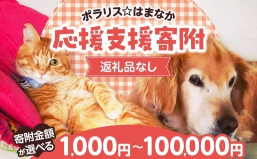 人と動物が共に生きる町へ。その一歩が、命を救う